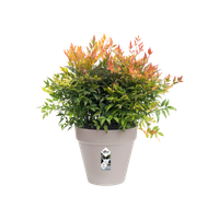 loft urban rund 25cm warmes grau